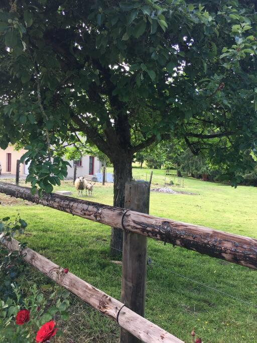 Gite De La Poupardiere, Maison De Campagne En Bordure De Riviere - 2 Nuits Minimum Villa Les Cresnays Dış mekan fotoğraf